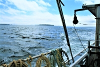 Photograph looking out over a wavy sea from the deck of the Fundy Spray