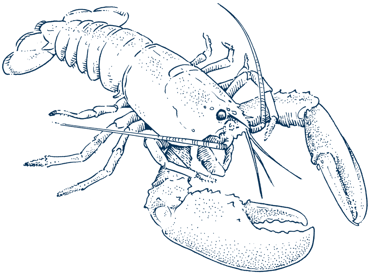 Casco Bay Island Dive Deeper