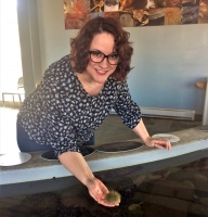 Woman holding green sea urchin over aquarium touch tank.