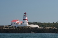 Photo du phare de Head Harbour et le dos d’un petit rorqual en avant-plan.