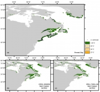 Three maps show predicted distribution of rockweed moving north as sea temperatures warm.