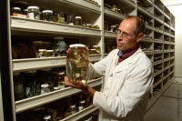 Photograph of man standing in front of museum shelving holding large jar containing fish specimen.