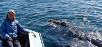 Moira Brown aboard a small boat observes a right whale close by at the surface