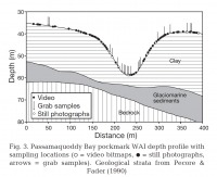 Line diagram showing shape of pockmark and sampling regime.