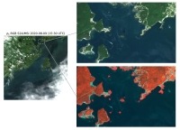 Image satellite de la pointe Green’s Point, avec une image en médaillon ‘couleur naturelle’ et une image rouge vif en ‘fausse couleur’.