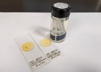 Image of museum holotype specimen, two microscope slides and a jar.