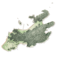 L’aquarelle d’une carte teinte en vert et brun de l’île Casco Bay Island présentant des arbres et des plages.