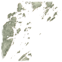L’aquarelle d’une carte teinte en vert et brun du Passage Head Harbour avec ses nombreux îlots.