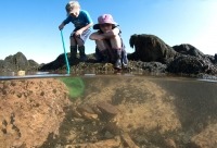 Photograph of two children fishing in a tidepool with a net, also showing underwater view.