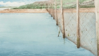 Watercolour illustration in shades of muted blue, brown and green. The poles and net of a herring weir stretch towards the shore of Sandy Island.