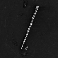 Black and white microscope photograph of small acanthostyle sponge spicule.